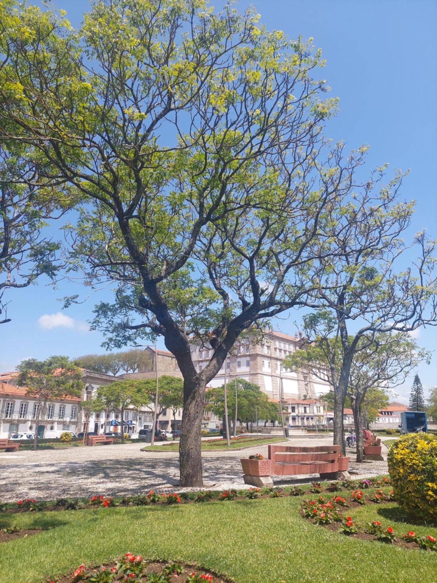 וילה דו קונדה Mostarda Boutique Apartment מראה חיצוני תמונה